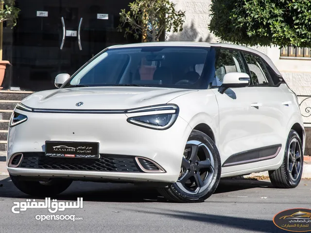 2023, Dongfeng, Nammi Box