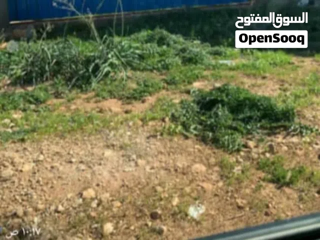 أرض فالطلحية