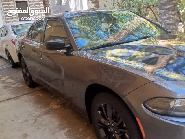 New Baw MVP in Karbala