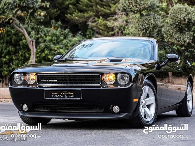 Used Dodge Challenger in Amman