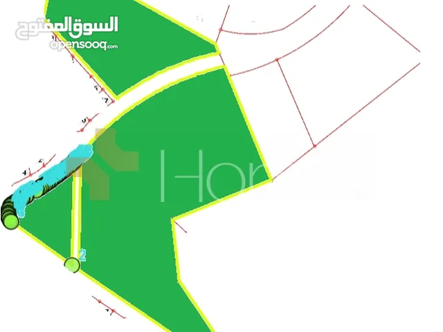 Commercial Land for Sale in Amman Al Lubban