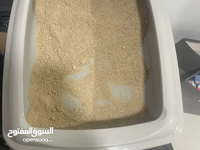 أغراض للقطط المفروق