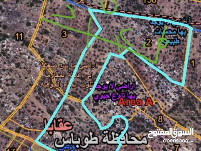 Farm Land for Sale in Tubas Aqqaba