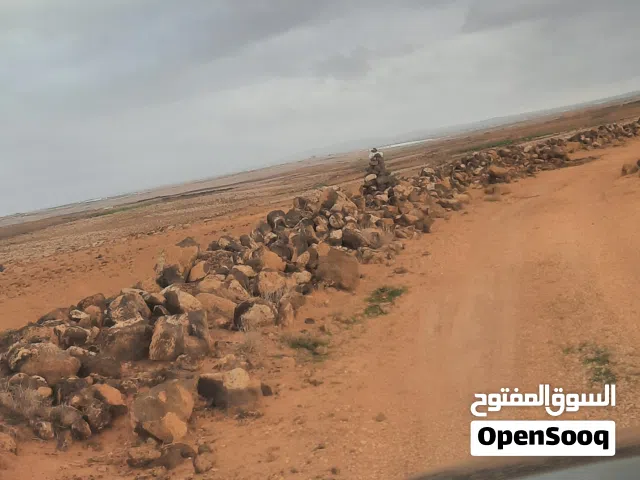 اراضي زراعيه للإستثمار في الاردن