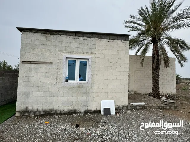 Farm Land for Rent in Al Batinah Barka