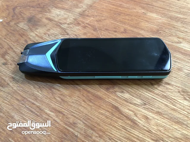 Others Not Defined Other in Sabha