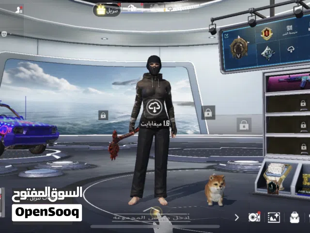 Pubg Accounts and Characters for Sale in Northern Governorate