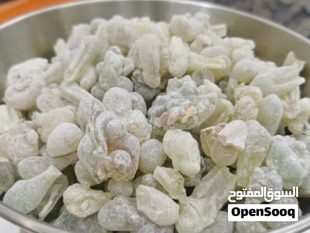 لبان الذكر الحوجري للعلاح