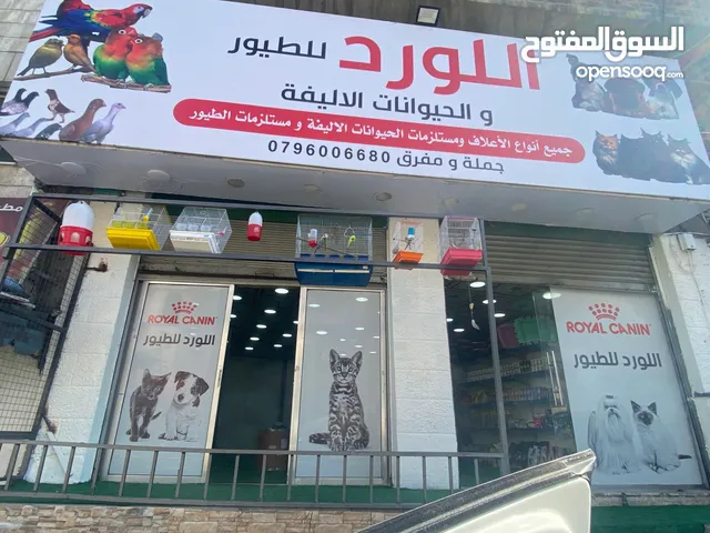 محل حيونات للبيع