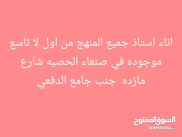 Arabic Teacher in Sana'a