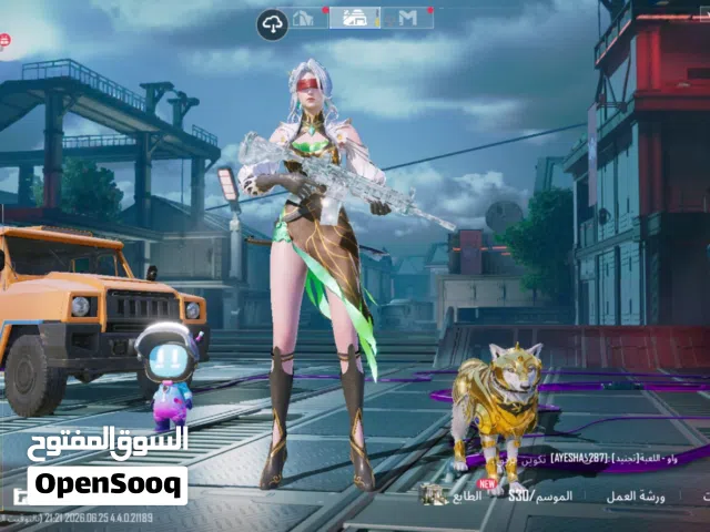 Pubg Accounts and Characters for Sale in Basra