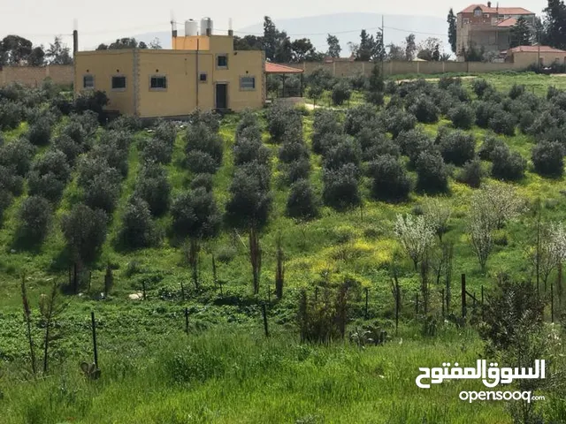 قطعة ارض مع بيت للبيع