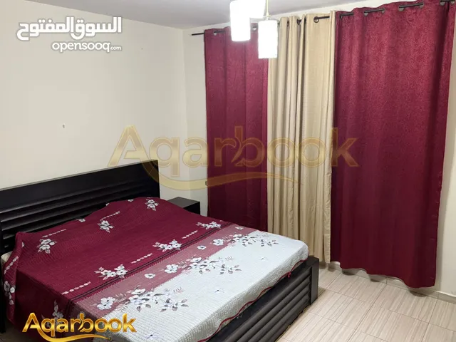50 m2 Studio Apartments for Rent in Ramallah and Al-Bireh Al Tira