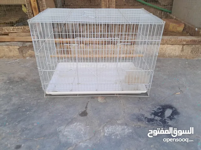 قفص نضيف وكامل ابو جرار حجم وصط