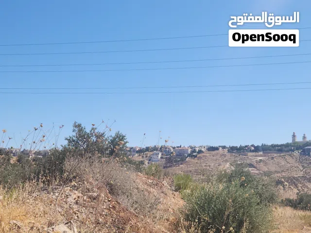 Residential Land for Sale in Amman Bilal