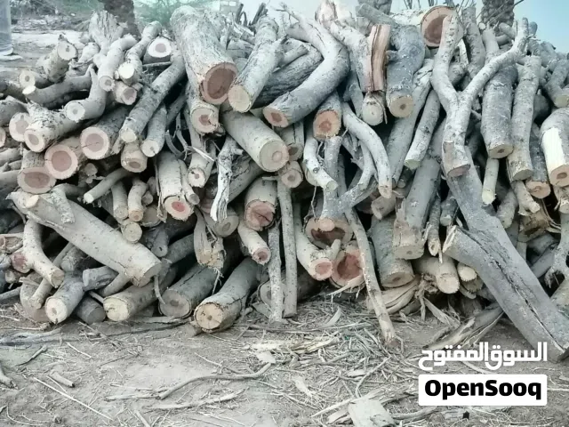 يتوفر حطب سمر للبيع