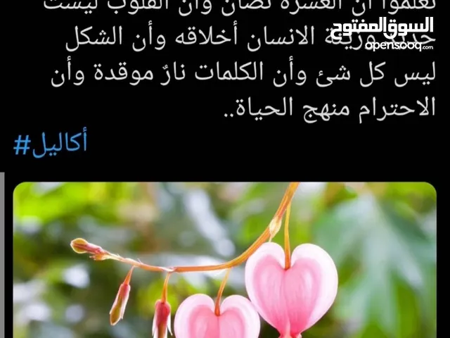 معلم دهانات وديكور جدران اسقف عوازل اسطح ترخيم تعتيق روشن خيال روعه بديل رخام جميع انواع الالوان