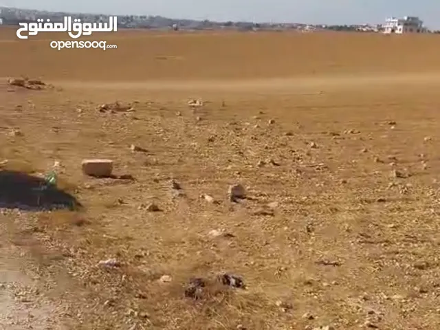 قطعة ارض في منطقة جلول من المالك مباشرة مساحة 10 دنوم