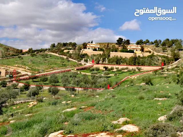 فرصة مغرية جدا لشراء ارض 4013 متر مربع للبيع بسعر مغري جدا في اجمل مناطق جرش واقربها لعمان