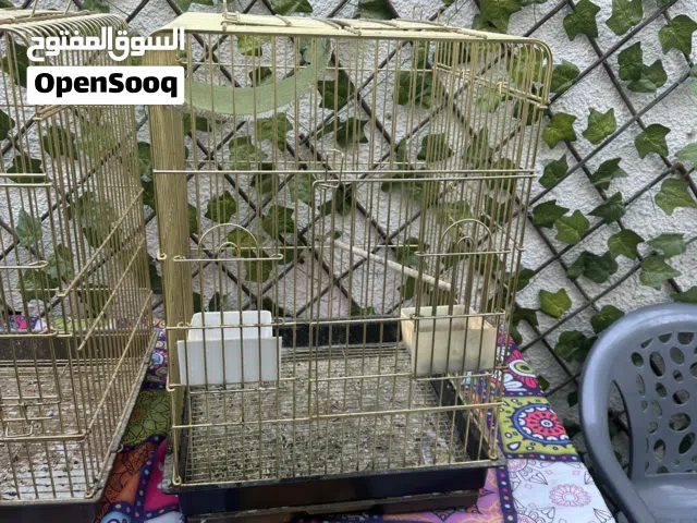 أقفاص كبيره للبيع