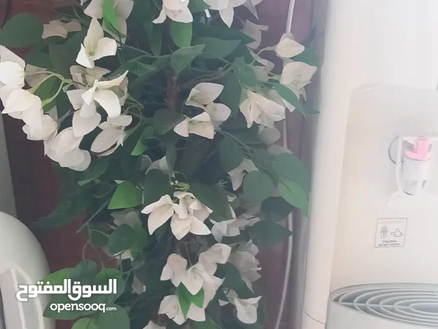 6 قواوير شجر صناعي للبيع