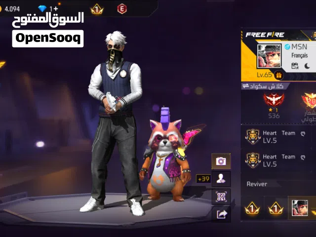 Free Fire Accounts and Characters for Sale in Salt