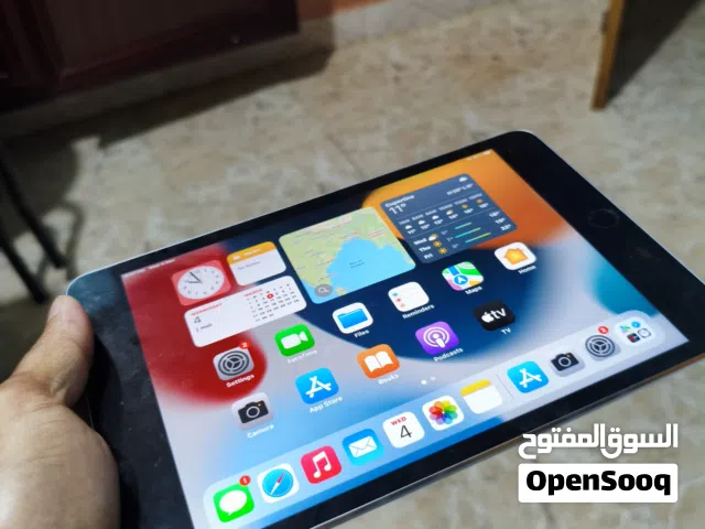 ipad mini 4
