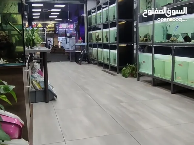 45 m2 Shops for Sale in Amman Al Muqabalain