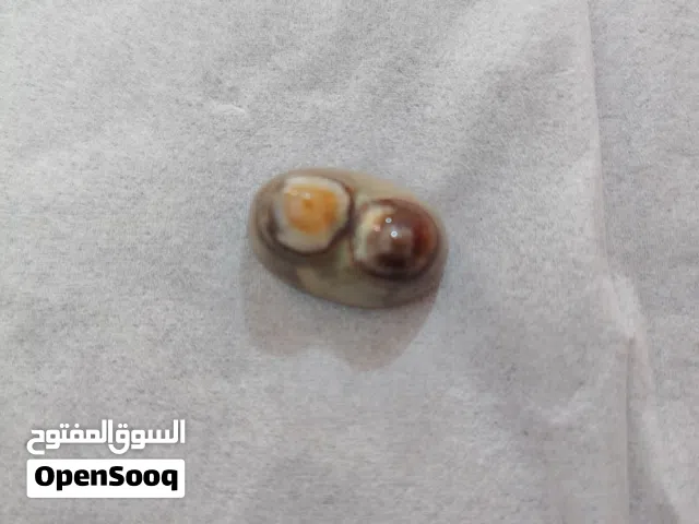 حجر سنام الجمل اصلي