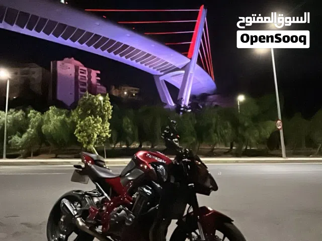 2019 كاواساكي Z900 ABS