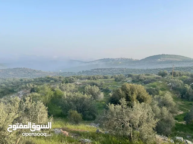 Mixed Use Land for Sale in Tulkarm Kafr Abush