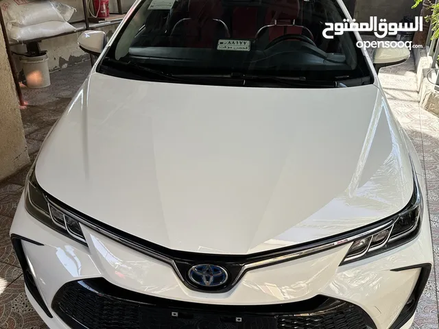 New Toyota Corolla in Basra