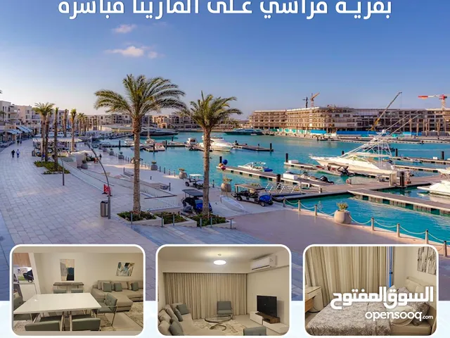 250 m2 3 Bedrooms Apartments for Rent in Matruh Alamein