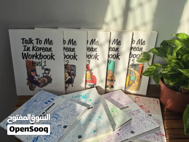 Learn Korean language 10 books (5 levels) each level has textbooks and workbooks