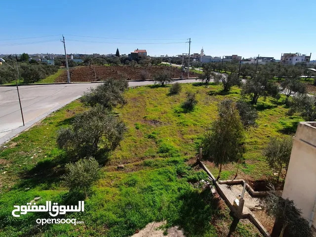Mixed Use Land for Sale in Irbid Samar