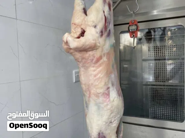 ملحمه للبيع //Butcher shop for sale
