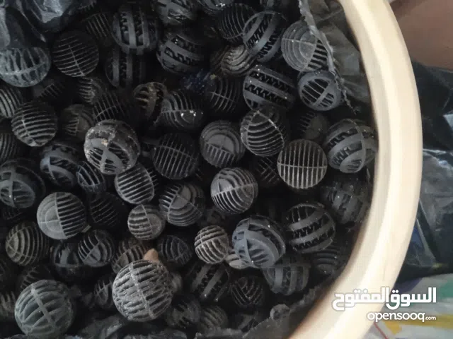 طبب للأحواض والأسماك والأحياء البحرية