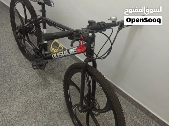 Adult bicycle