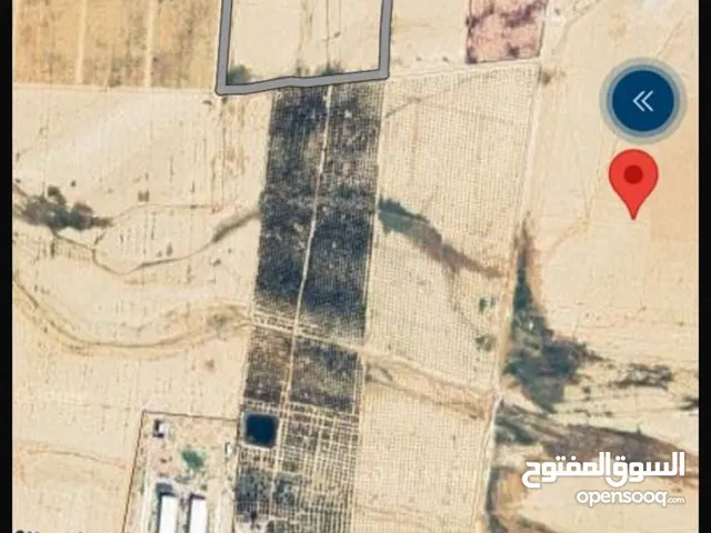ارض للبيع في خان زبيب 3400 للاستثمار موقع مميز بالقرب من شركه وادي الاردن الثروه الحيوانيه