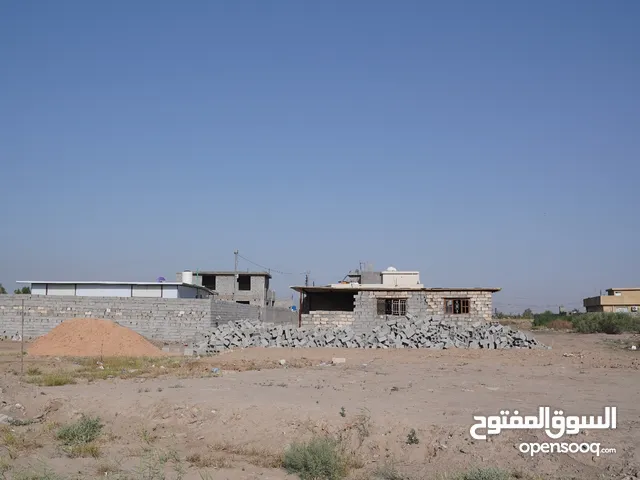 Farm Land for Sale in Baghdad Radwaniyah