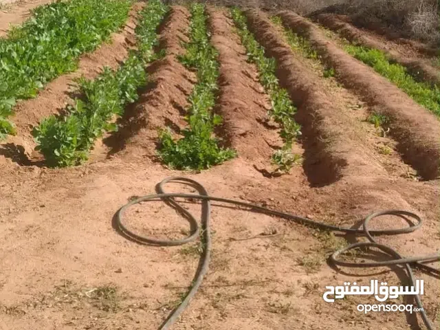 قطعة ارض للبيع