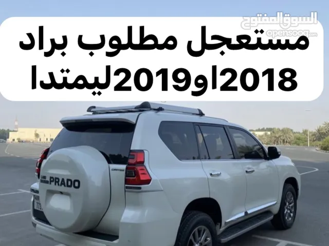 مطلوب برادو ليمتدا 2018-2019