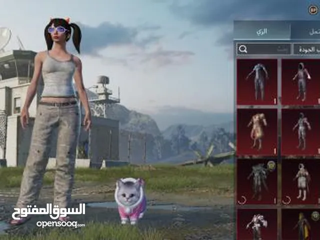 Pubg Accounts and Characters for Sale in Zarqa