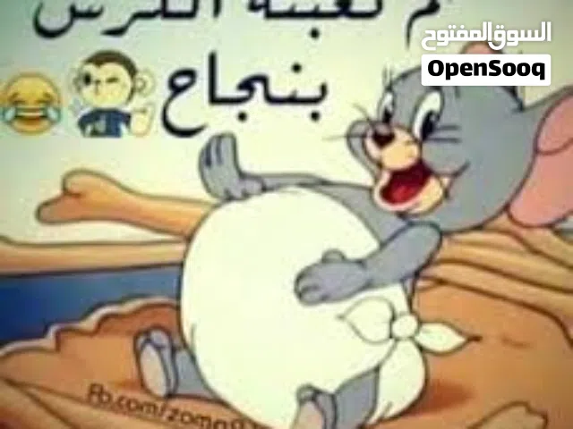 Xiaomi Pocophone X3 Pro 256 GB in Zawiya