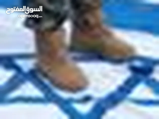 فؤاد زايد