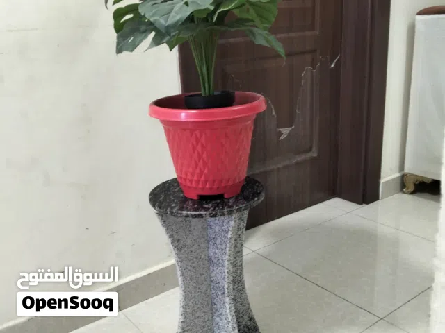 stand with plant