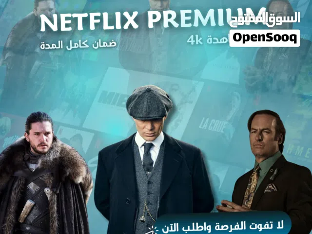 Netflix Accounts and Characters for Sale in Irbid