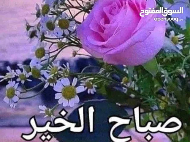 Arabic Teacher in Dhofar