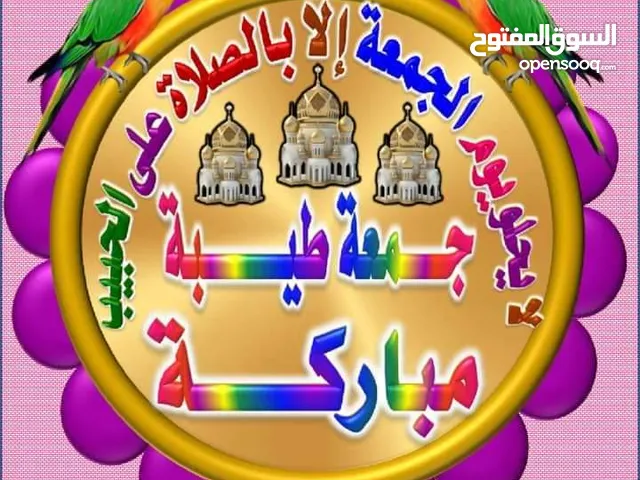 انا باحت عن عمل مهندس كهرباء في طرابلس