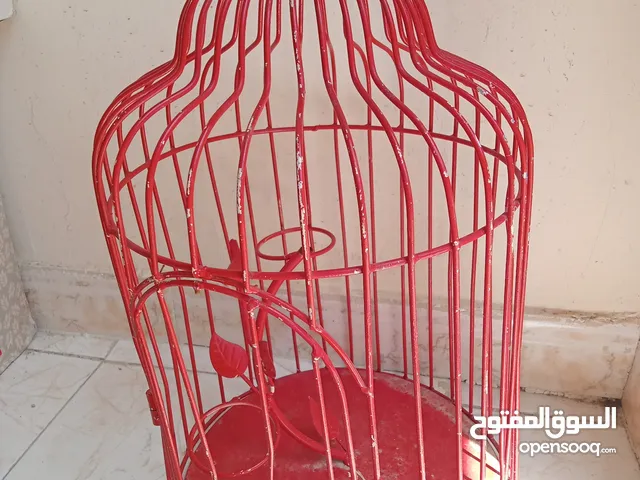 قفص طير أو للزينة Bird cage or decoration